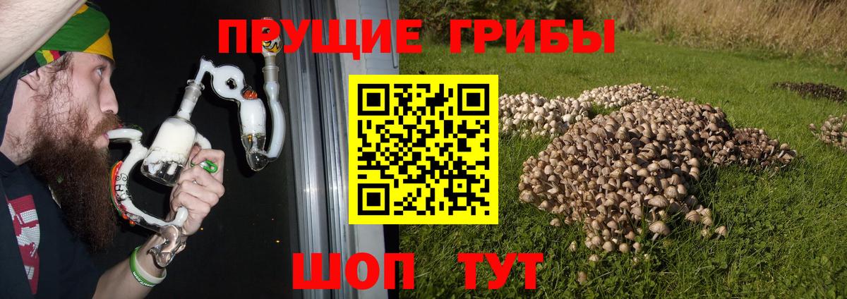 Спасск-Дальний  Псилоцибиновые грибы Magic Shrooms  Вход с VPN  Псилоцибиновые грибы GOLDEN TEACHER 